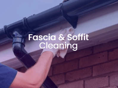 Fascia and Soffit Cleaning