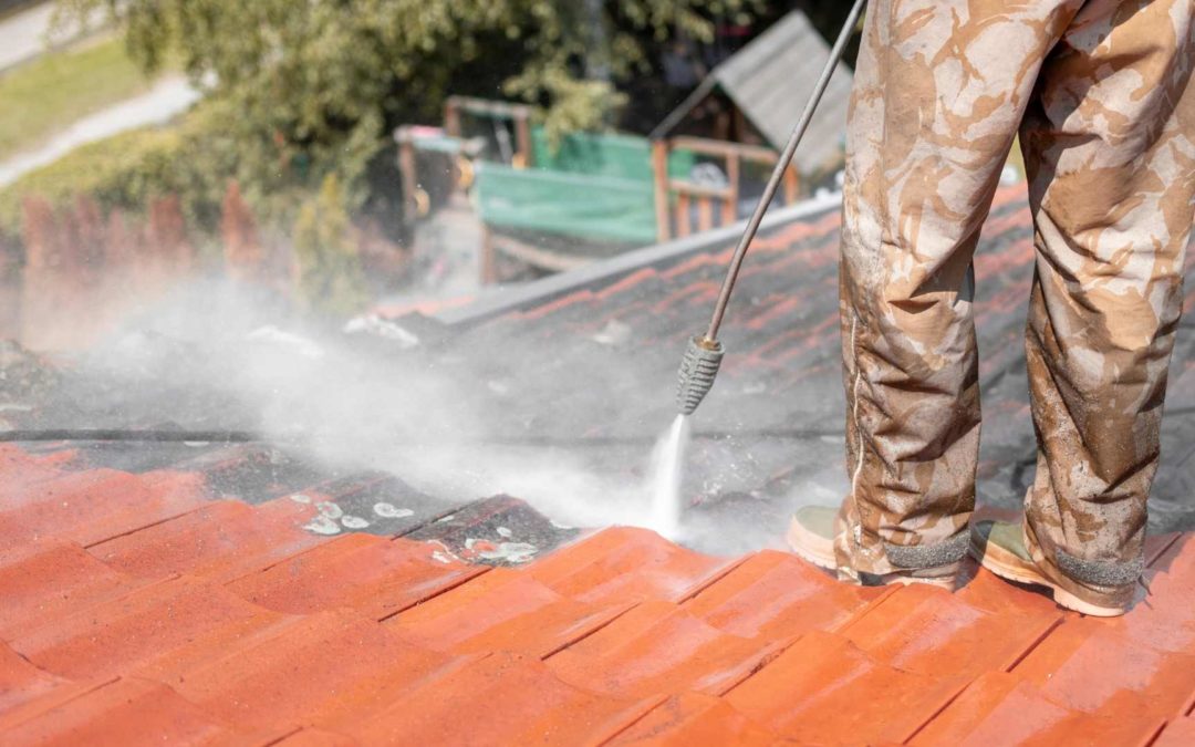Roof Cleaning Dublin: Roof Cleaning Mistakes and Roof Cleaning Tips