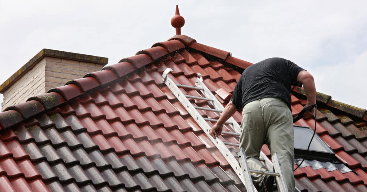 moss removal and roof cleaning Kildare