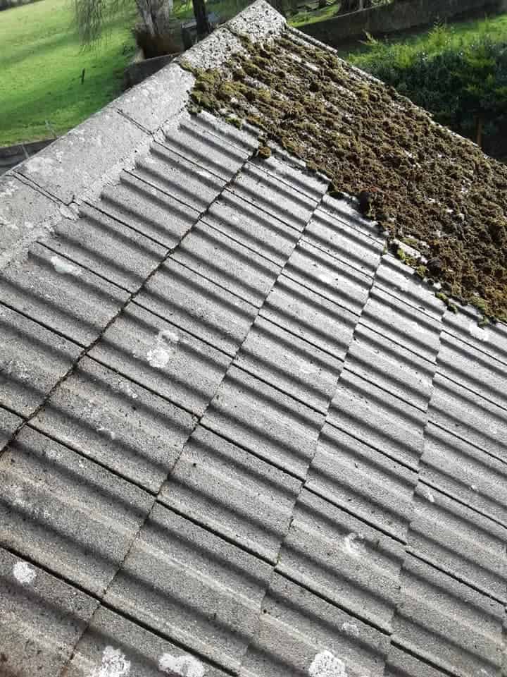 Roof Cleaning Winter