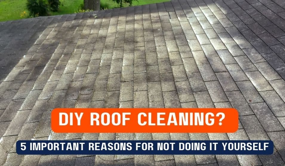 DIY Roof Cleaning? 5 Important Reasons For Not Doing It Yourself