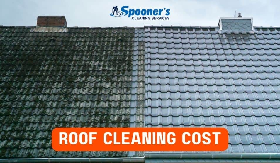 Roof Cleaning Cost in Ireland and Our Offer